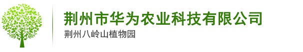 荊州市華為農(nóng)業(yè)科技有限公司